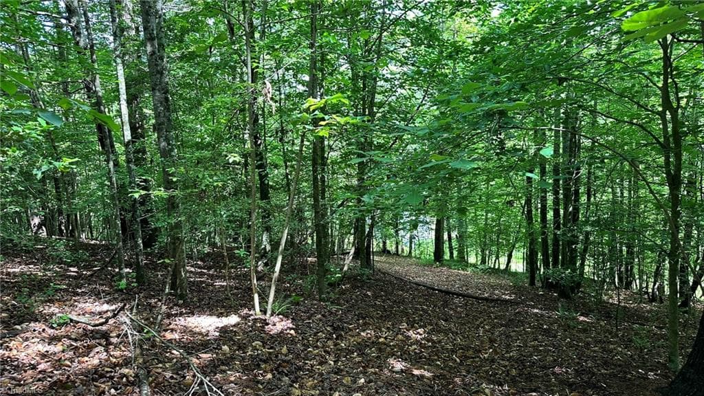 Single Family Residence at 00E High Point Cove, Wilkesboro NC 28697, photo 14 of 15