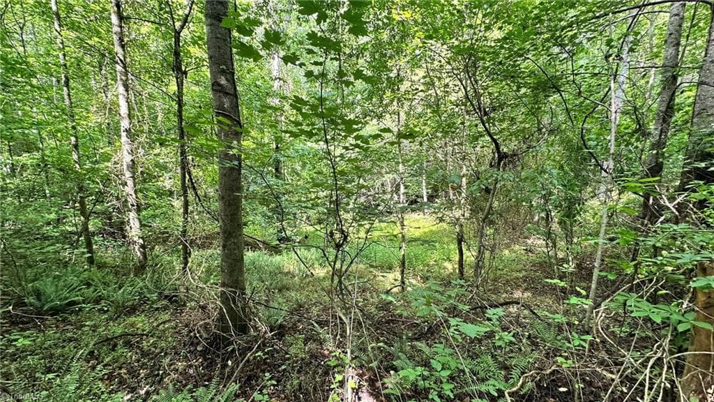 Single Family Residence at 00E High Point Cove, Wilkesboro NC 28697, photo 11 of 15