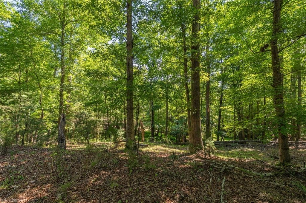 Single Family Residence at 7289 Plunkett Road, Stokesdale NC 27357, photo 14 of 27