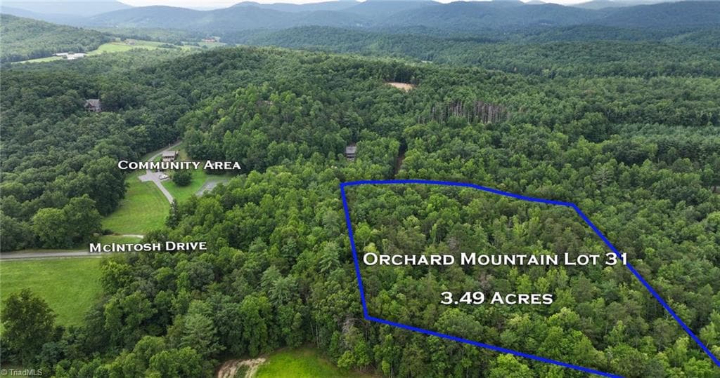 Single Family Residence at TBD Mcintosh Drive, Lowgap NC 27024, Lowgap, photo 83 of 100
