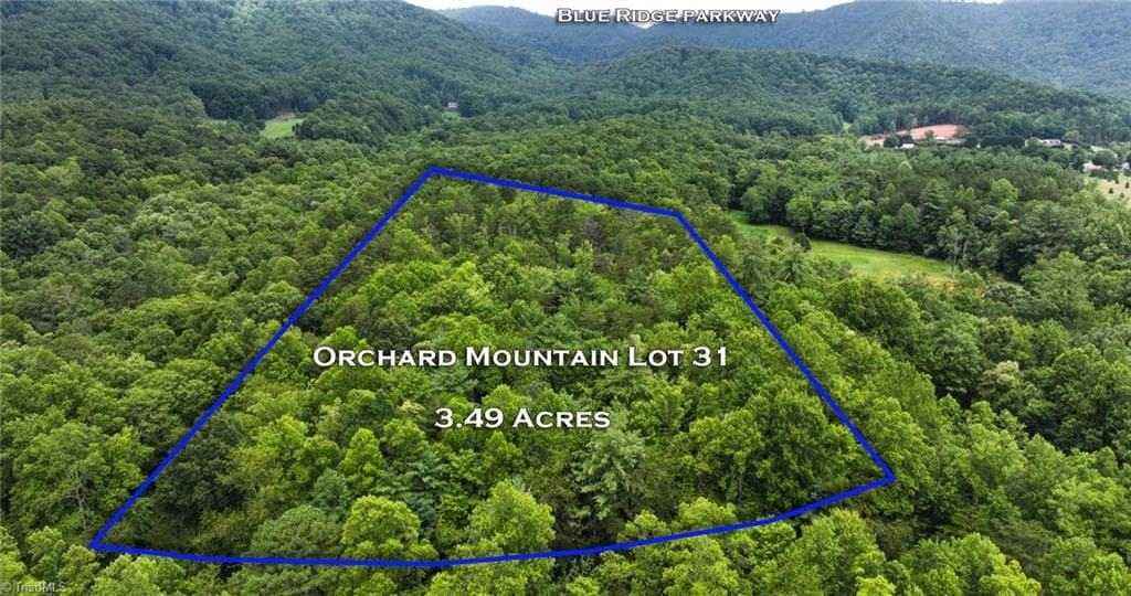 Single Family Residence at TBD Mcintosh Drive, Lowgap NC 27024, Lowgap, photo 93 of 100