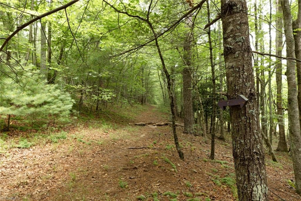Walking trail bordering back side of the lot - TBD Mcintosh Drive, Lowgap NC 27024, Lowgap