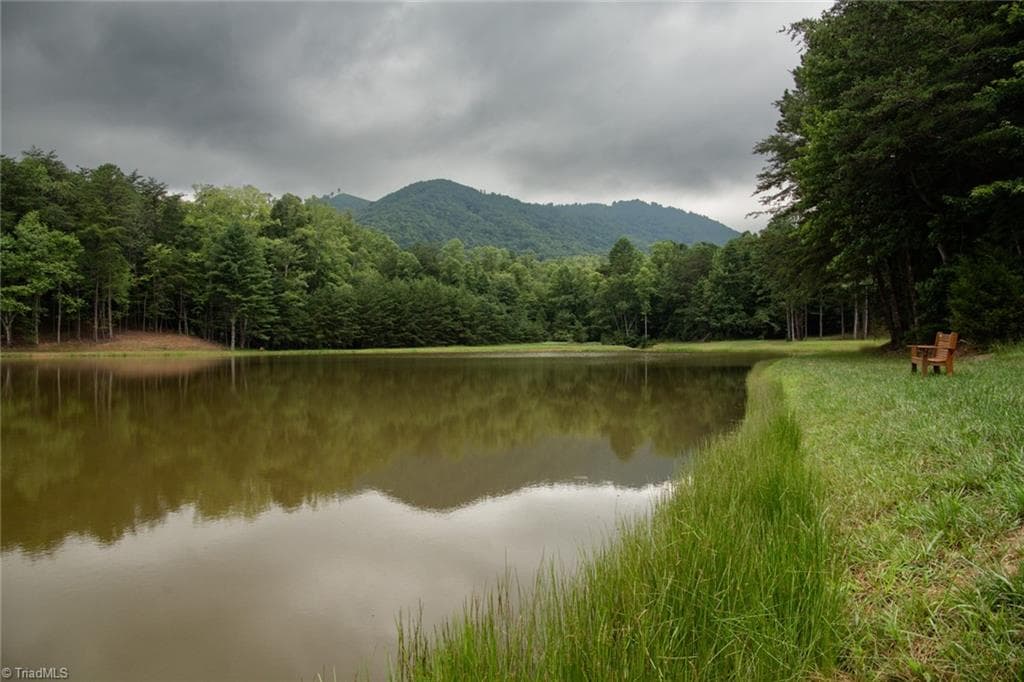Single Family Residence at TBD Mcintosh Drive, Lowgap NC 27024, Lowgap, photo 63 of 100