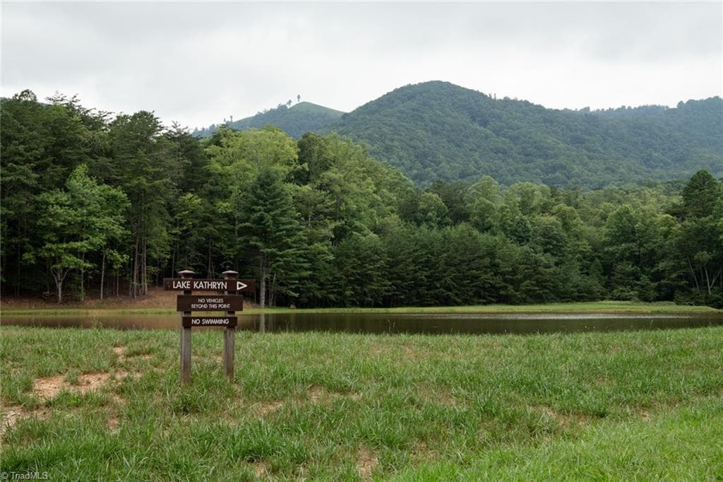 Single Family Residence at TBD Mcintosh Drive, Lowgap NC 27024, Lowgap, photo 59 of 100