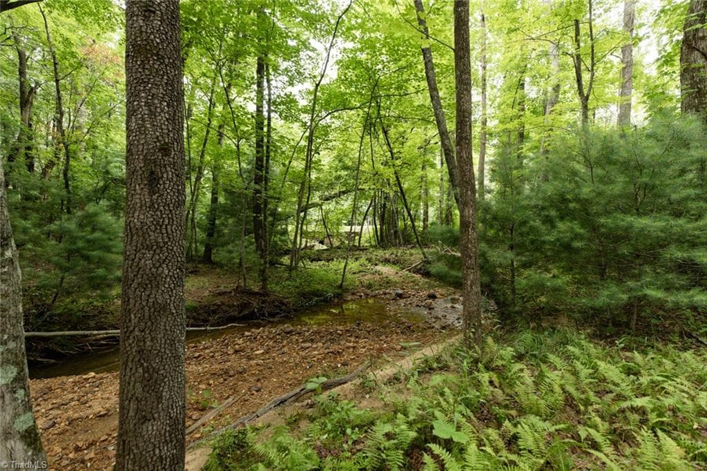 Single Family Residence at TBD Mcintosh Drive, Lowgap NC 27024, Lowgap, photo 19 of 100