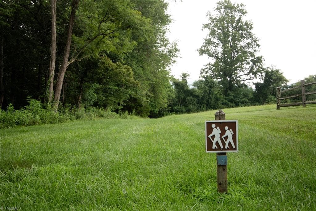 Single Family Residence at TBD Mcintosh Drive, Lowgap NC 27024, Lowgap, photo 41 of 100