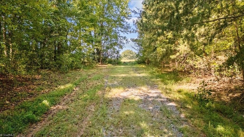Unimproved Land at 4069 Bentley Drive, Randleman NC 27317, photo 12 of 12