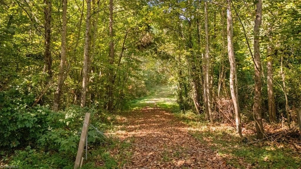 Unimproved Land at 4069 Bentley Drive, Randleman NC 27317, photo 10 of 12