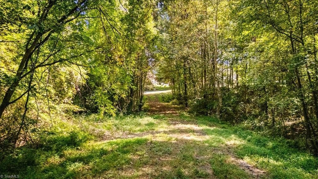 Unimproved Land at 4069 Bentley Drive, Randleman NC 27317, photo 11 of 12
