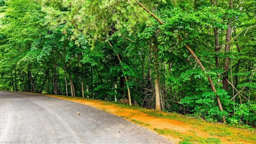 8006 Chatsworth Court, Browns Summit NC 27214