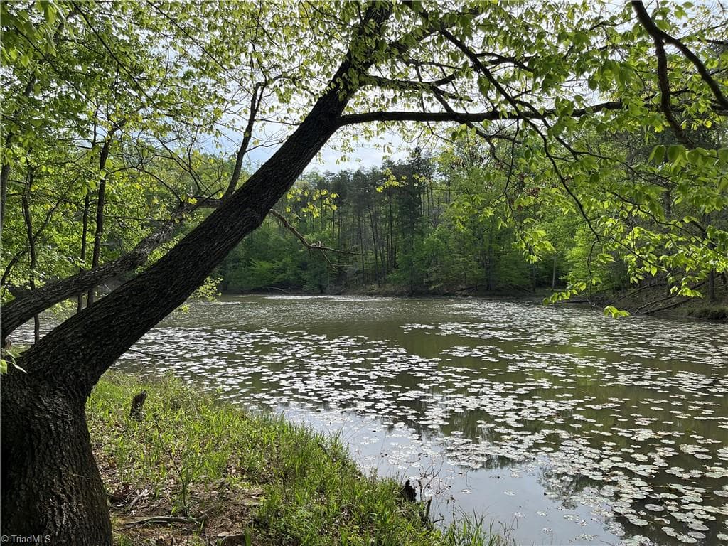 0 Sheets Trail, Germanton NC 27019