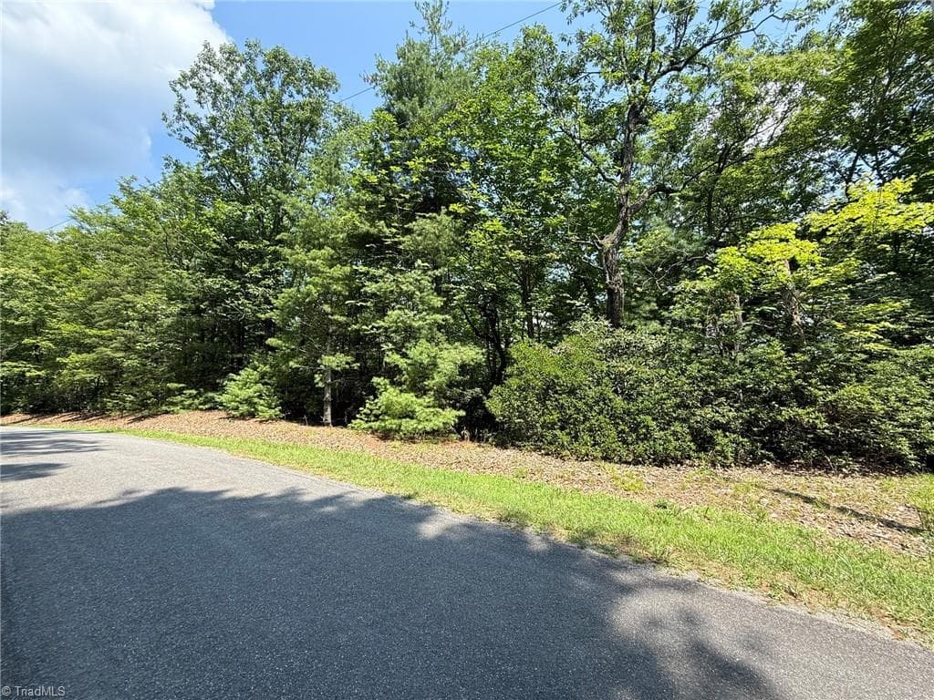 Single Family Residence at Lot 87 McIntosh Drive, Lowgap NC 27024, Lowgap, photo 5 of 28