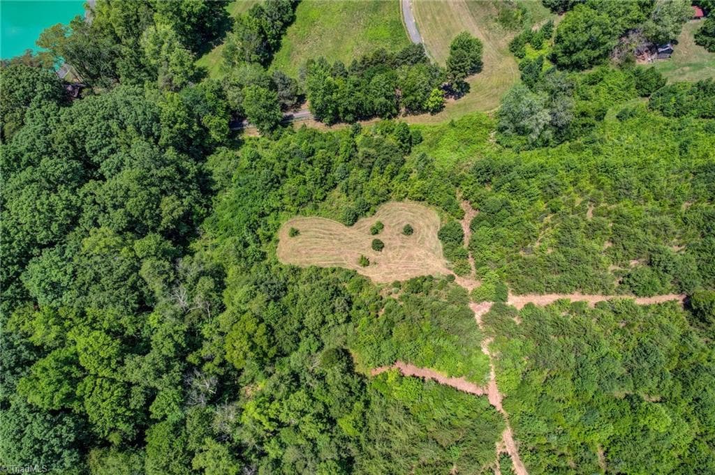Unimproved Land at 0000 Nc Highway 135, Stoneville NC 27048, photo 6 of 10
