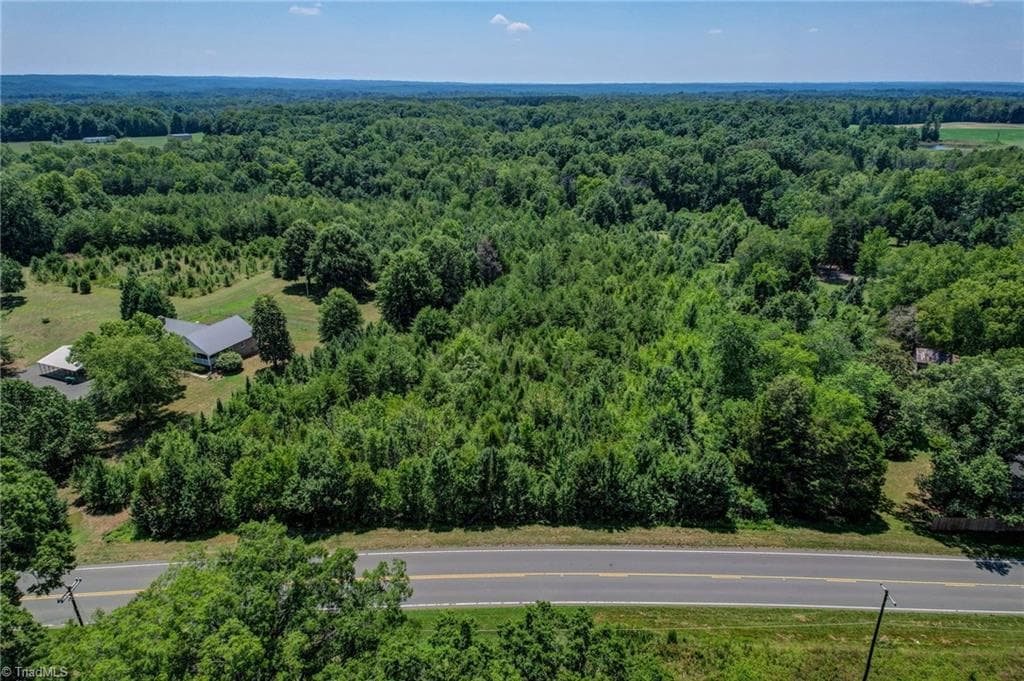 Unimproved Land at 0000 Nc Highway 135, Stoneville NC 27048, photo 5 of 10
