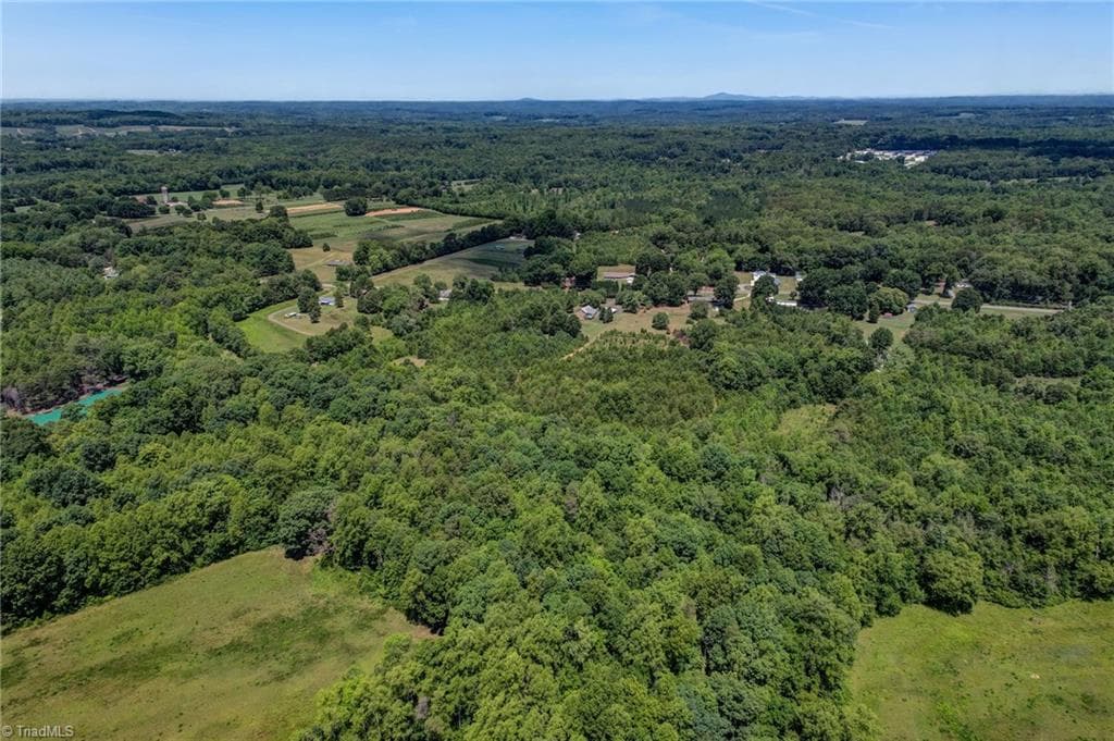 Unimproved Land at 0000 Nc Highway 135, Stoneville NC 27048, photo 10 of 10