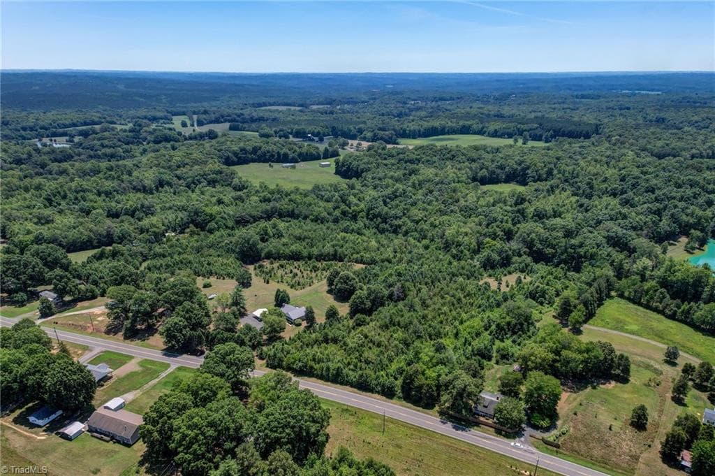 Unimproved Land at 0000 Nc Highway 135, Stoneville NC 27048, photo 4 of 10