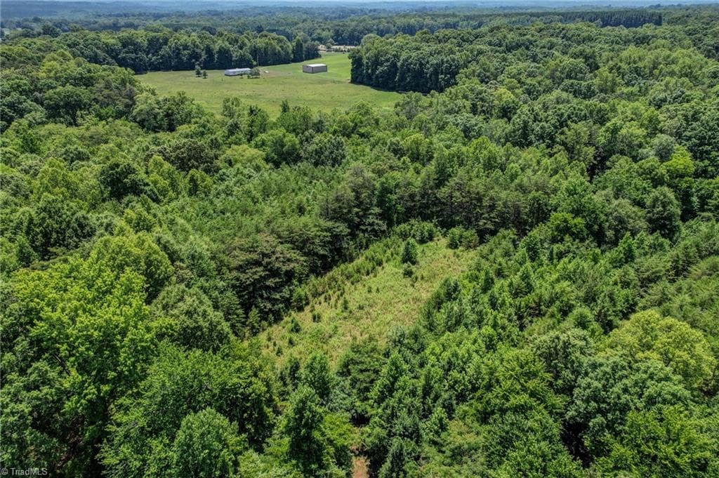 Unimproved Land at 0000 Nc Highway 135, Stoneville NC 27048, photo 8 of 10