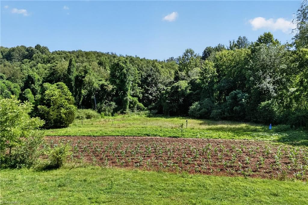 Stick/Site Built at 138 Eagle Valley Trail, Dobson NC 27017, Dobson, photo 81 of 96
