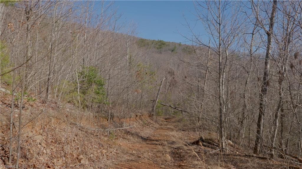 Unimproved Land at 337 Goat House Road, Lambsburg VA 24351, Lambsburg, photo 23 of 47