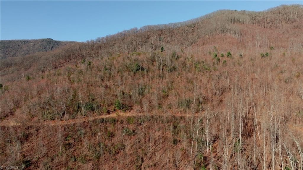 Unimproved Land at 337 Goat House Road, Lambsburg VA 24351, Lambsburg, photo 6 of 47