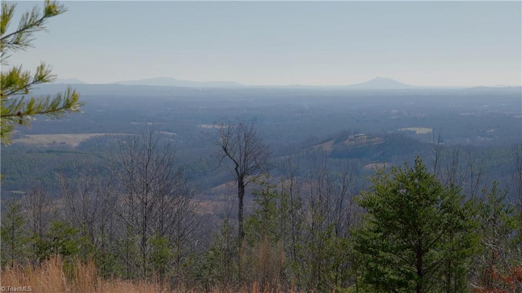 Unimproved Land at 337 Goat House Road, Lambsburg VA 24351, Lambsburg, photo 13 of 47