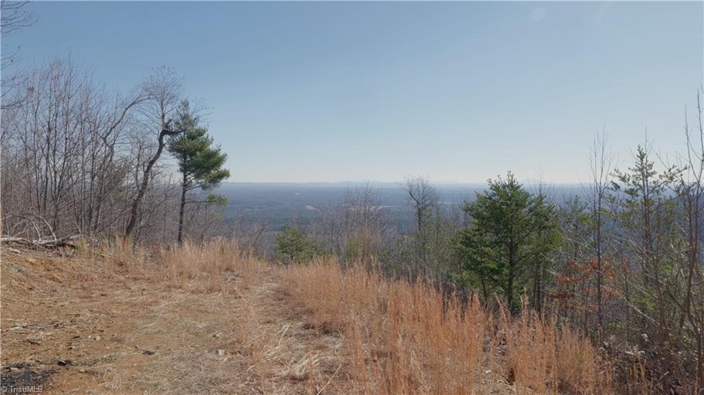 Unimproved Land at 337 Goat House Road, Lambsburg VA 24351, Lambsburg, photo 17 of 47