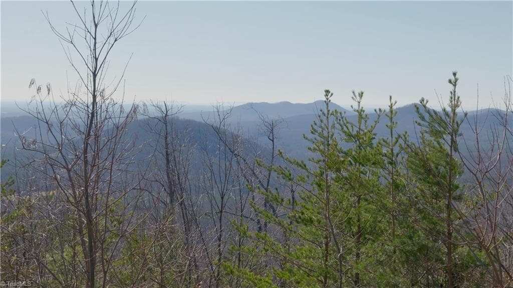 Unimproved Land at 337 Goat House Road, Lambsburg VA 24351, Lambsburg, photo 16 of 47