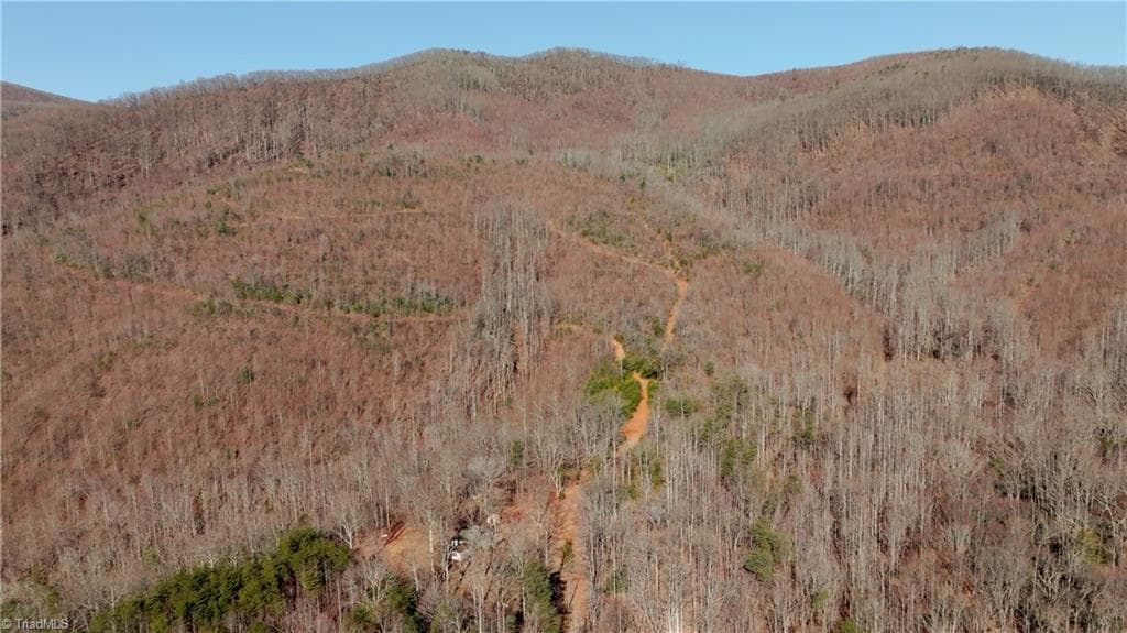 Unimproved Land at 337 Goat House Road, Lambsburg VA 24351, Lambsburg, photo 7 of 47
