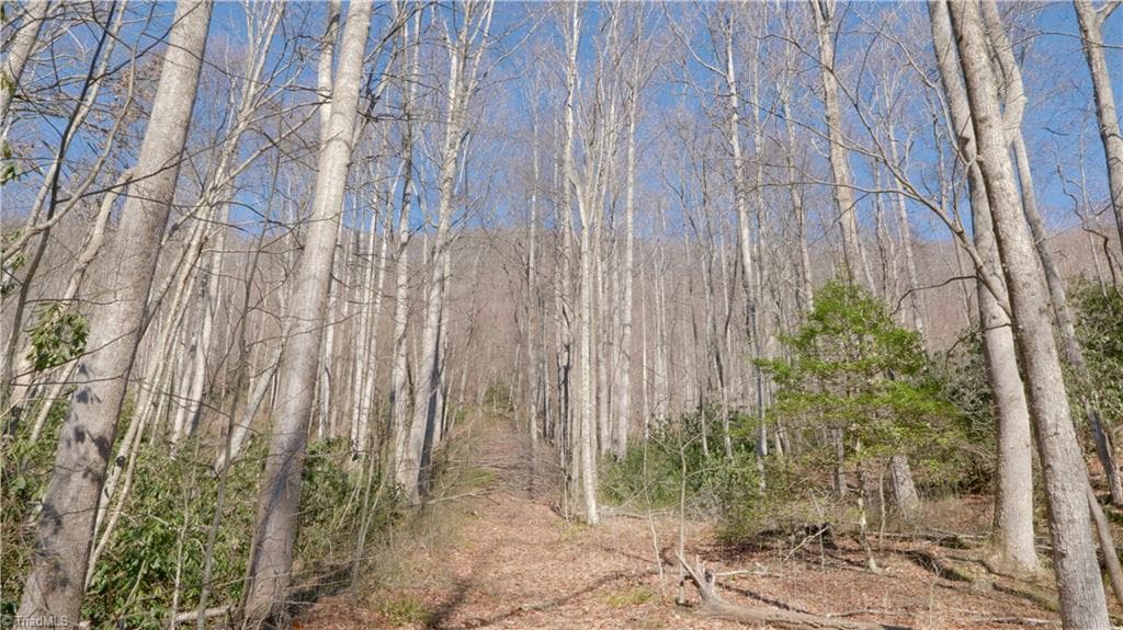 Unimproved Land at 337 Goat House Road, Lambsburg VA 24351, Lambsburg, photo 30 of 47