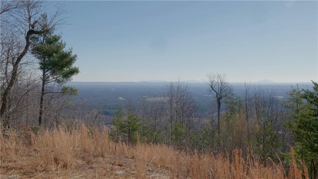 Unimproved Land at 337 Goat House Road, Lambsburg VA 24351, Lambsburg, photo 14 of 47