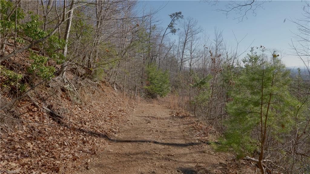 Unimproved Land at 337 Goat House Road, Lambsburg VA 24351, Lambsburg, photo 18 of 47