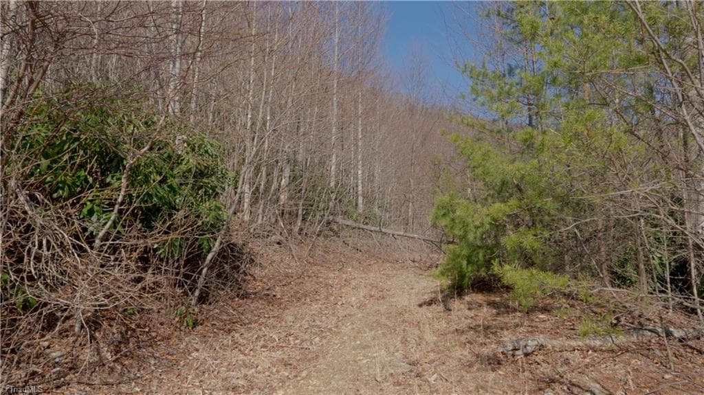 Unimproved Land at 337 Goat House Road, Lambsburg VA 24351, Lambsburg, photo 19 of 47