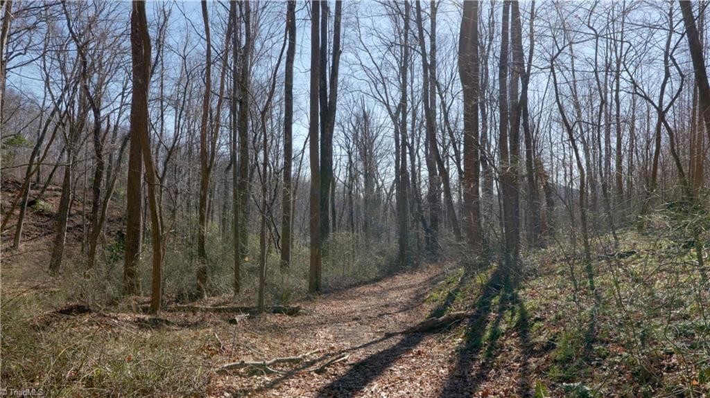 Unimproved Land at 337 Goat House Road, Lambsburg VA 24351, Lambsburg, photo 31 of 47