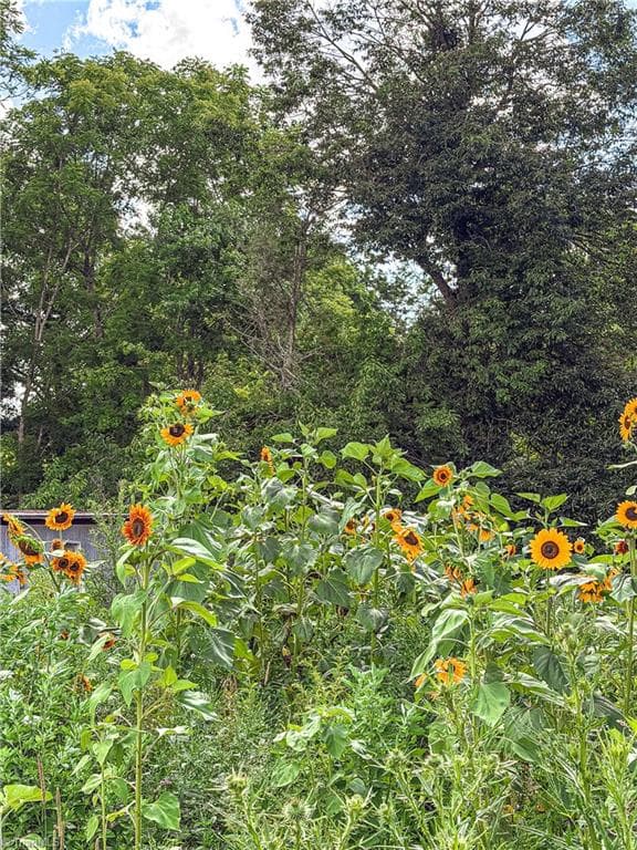 Stick/Site Built at 808 Piney Creek School Road, Piney Creek NC 28663, photo 25 of 29