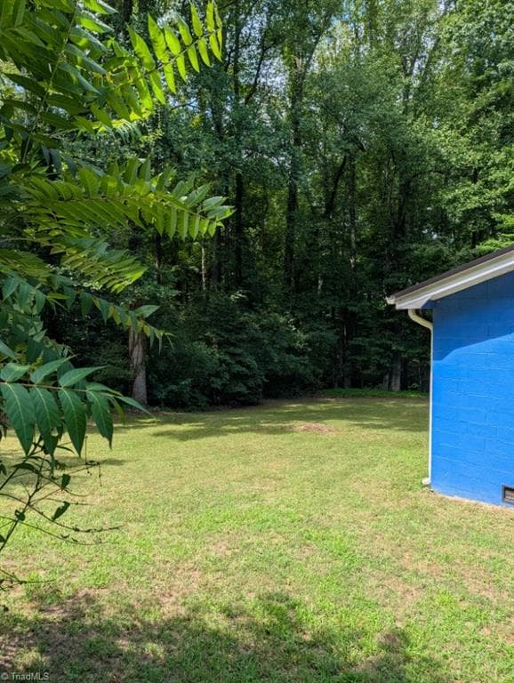 Back Yard - 135 Redbud Road, Eden NC 27288, Eden
