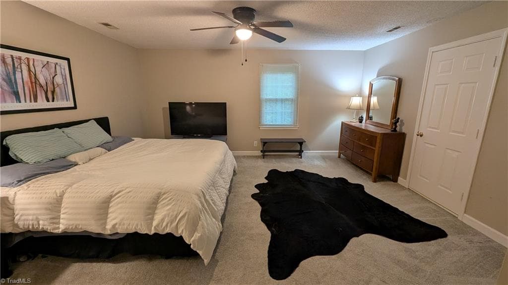 Primary bedroom - 222 Shallowbrook Drive, Advance NC 27006, Advance