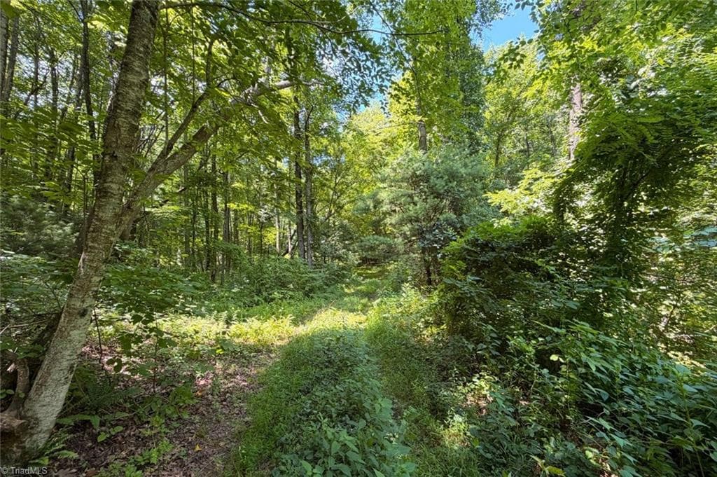 Unimproved Land at 363 Good Hope Lane, Thurmond NC 28683, photo 2 of 18