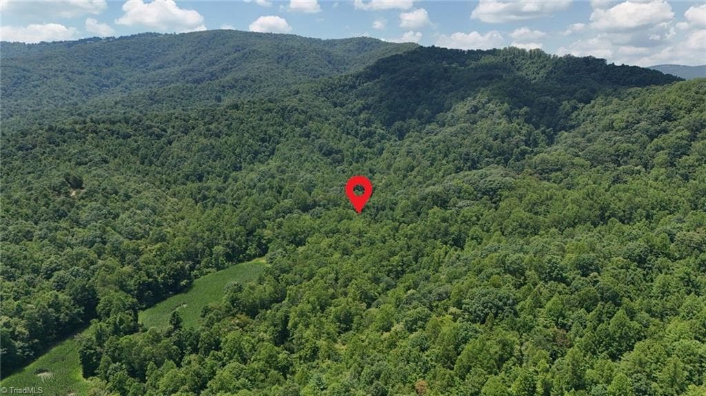 Unimproved Land at 363 Good Hope Lane, Thurmond NC 28683, photo 15 of 18