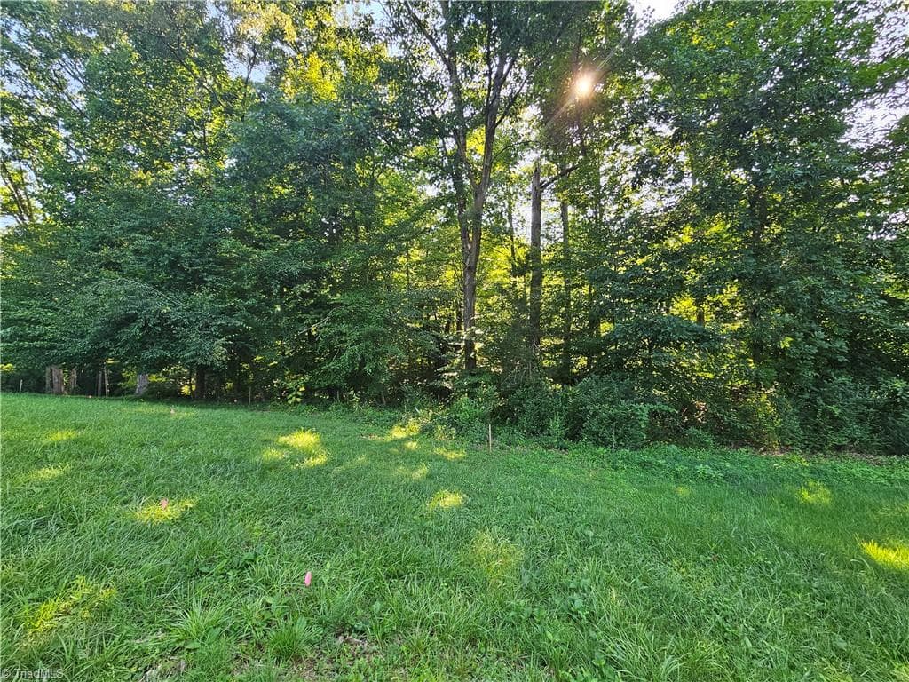 Unimproved Land at 0 S Brenhaven Drive, Elkin NC 28621, photo 7 of 9