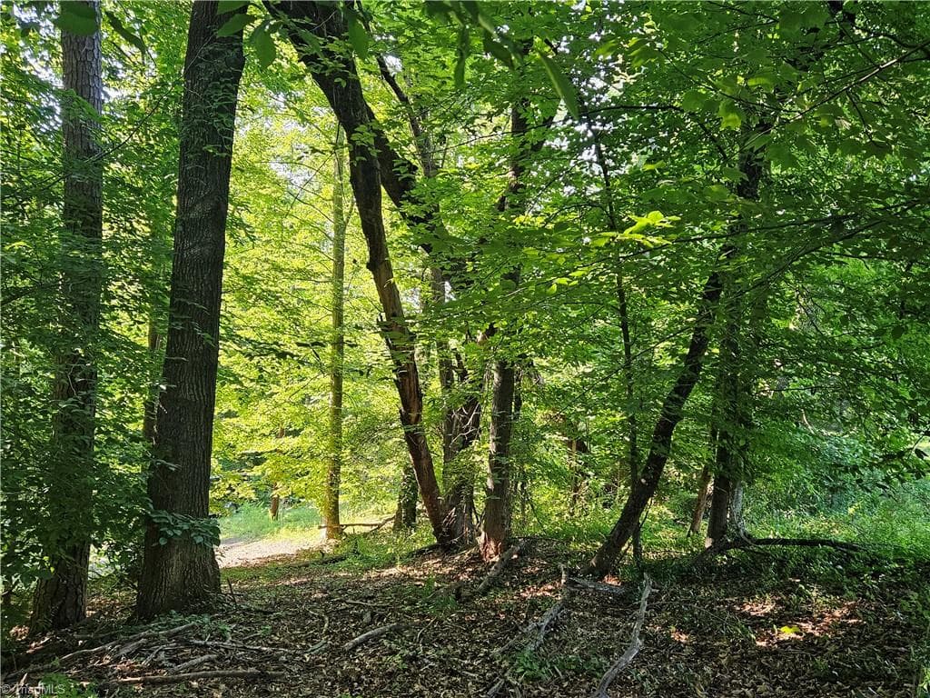 Unimproved Land at 0 S Brenhaven Drive, Elkin NC 28621, photo 3 of 9