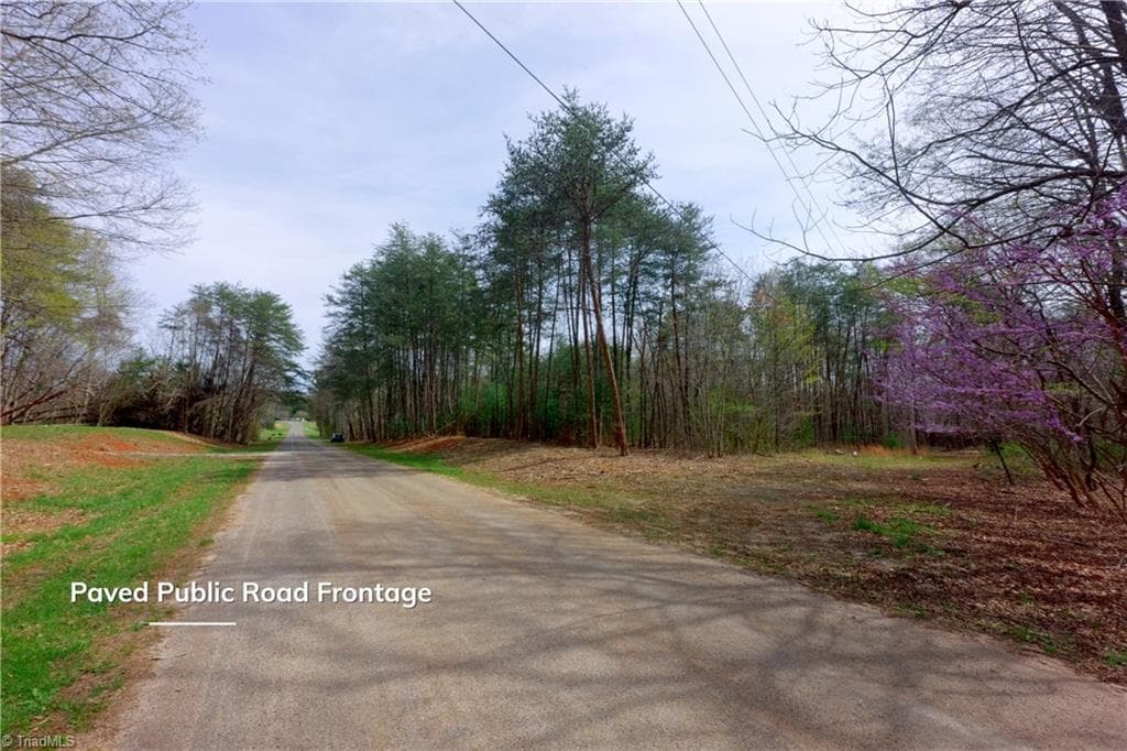 Unimproved Land at 0 Johnson Farm Road # 1, Pilot Mountain NC 27041, photo 6 of 28