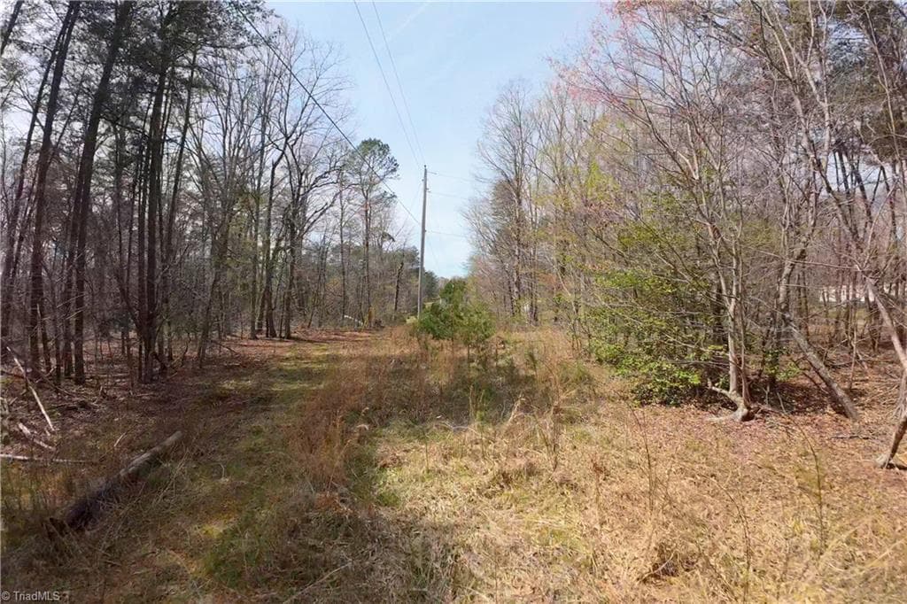 Unimproved Land at 0 Johnson Farm Road # 1, Pilot Mountain NC 27041, photo 17 of 28