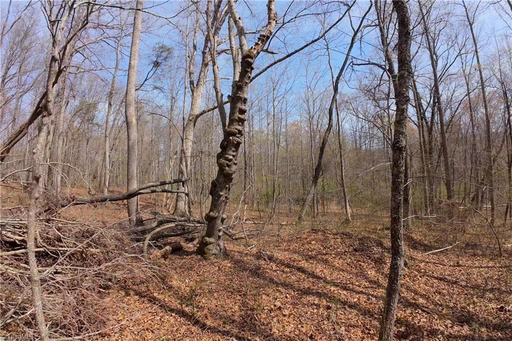 Unimproved Land at 0 Johnson Farm Road # 1, Pilot Mountain NC 27041, photo 16 of 28