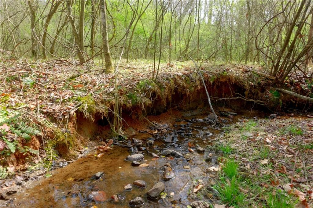 Unimproved Land at 0 Johnson Farm Road # 1, Pilot Mountain NC 27041, photo 12 of 28