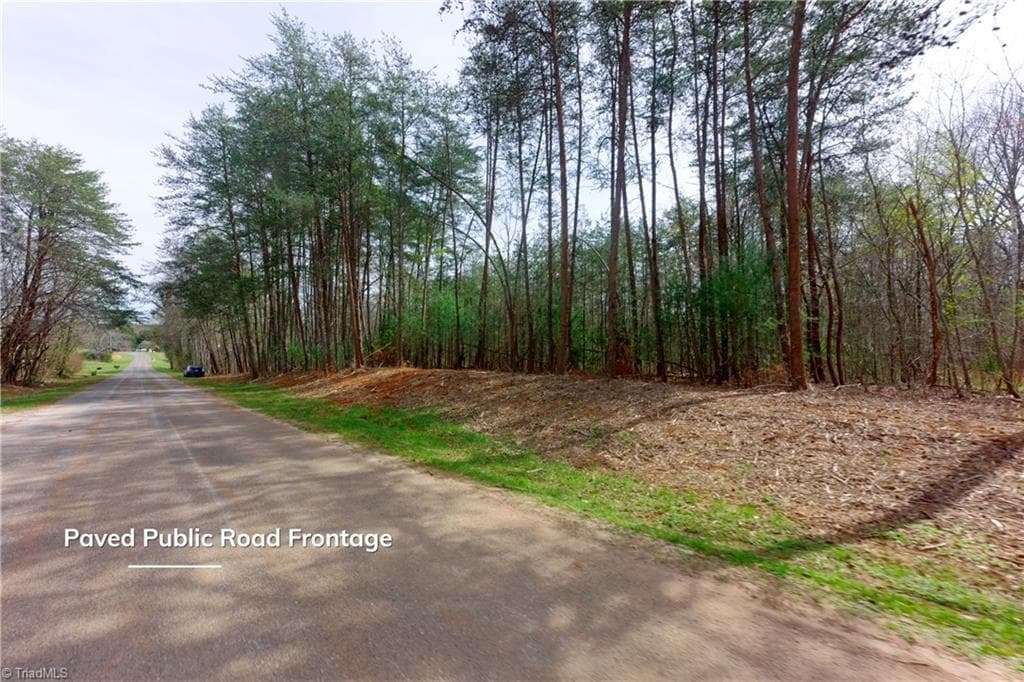 Unimproved Land at 0 Johnson Farm Road # 1, Pilot Mountain NC 27041, photo 7 of 28