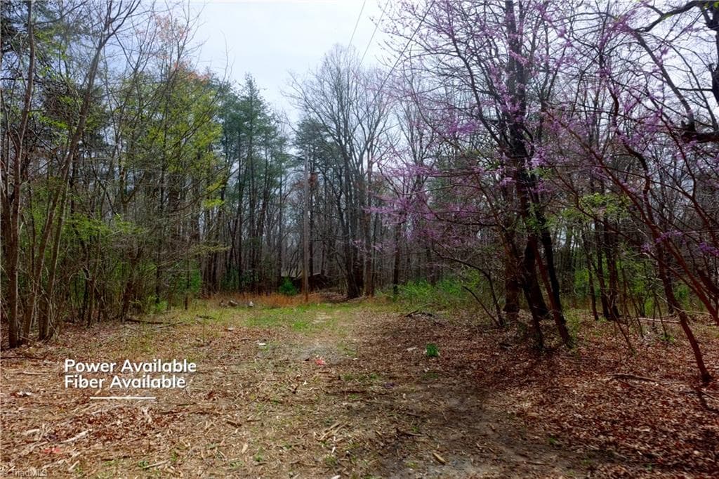 Unimproved Land at 0 Johnson Farm Road # 1, Pilot Mountain NC 27041, photo 3 of 28