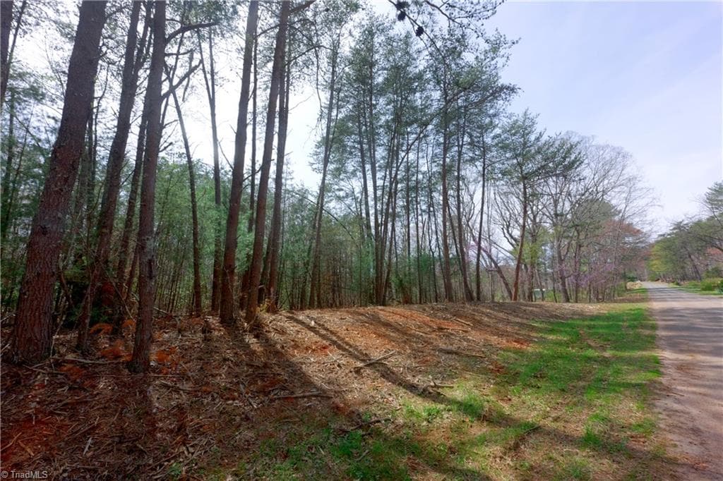 Unimproved Land at 0 Johnson Farm Road # 1, Pilot Mountain NC 27041, photo 5 of 28