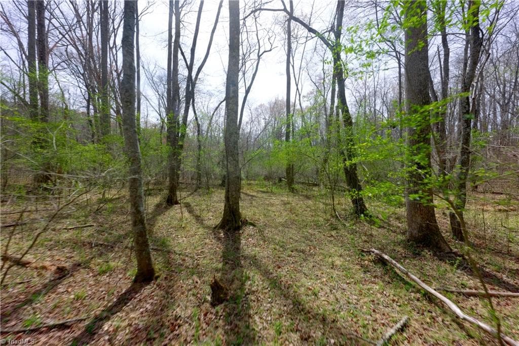 Unimproved Land at 0 Johnson Farm Road # 1, Pilot Mountain NC 27041, photo 9 of 28