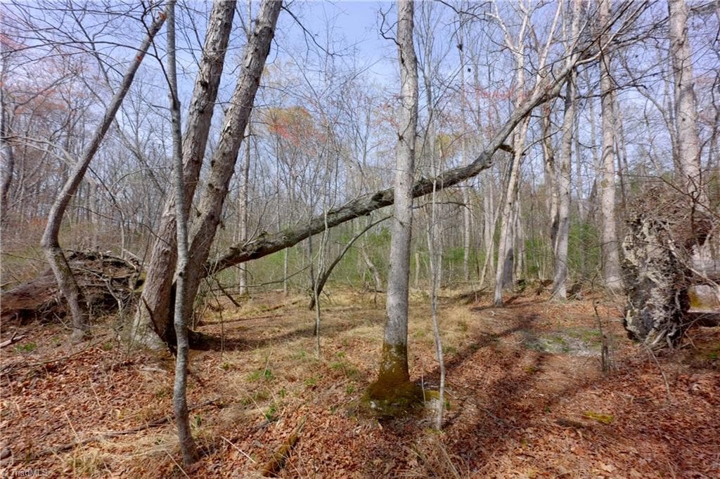 Unimproved Land at 0 Johnson Farm Road # 1, Pilot Mountain NC 27041, photo 10 of 28