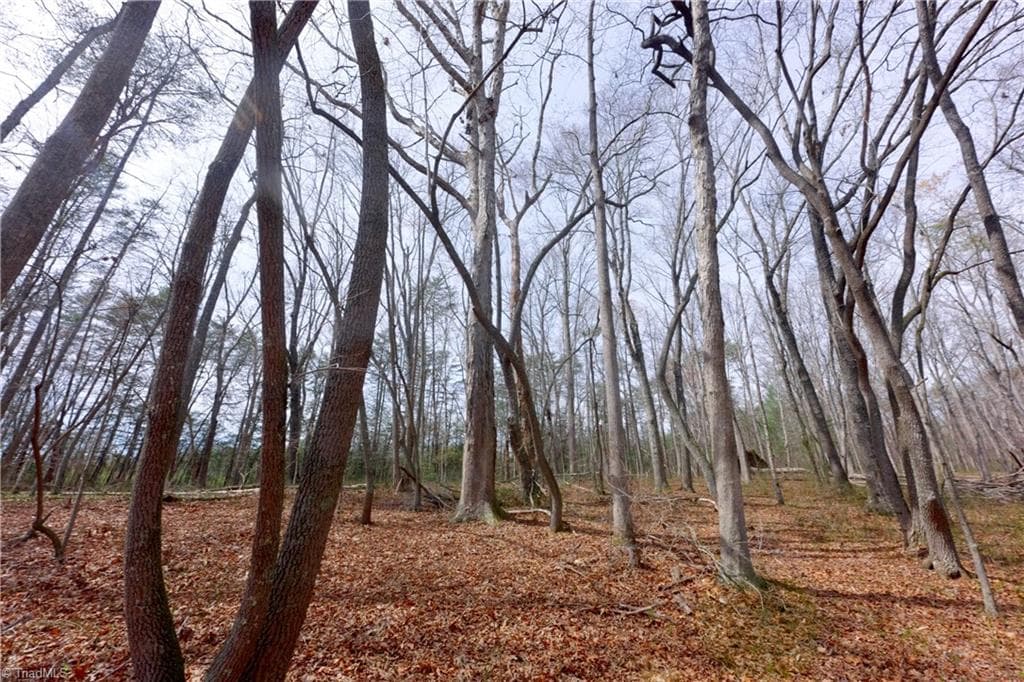 Unimproved Land at 0 Johnson Farm Road # 1, Pilot Mountain NC 27041, photo 15 of 28